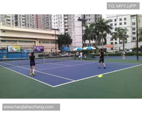 深圳网球队荣登网球个人能力排行榜首位引领全国水平提升